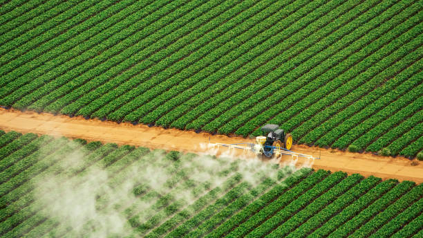Pest Control Cost in Meeker, OK