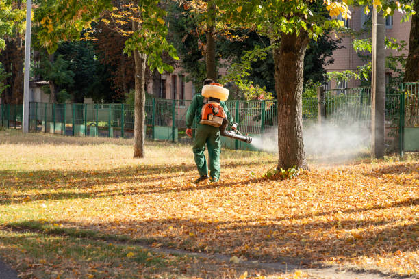 Best Mosquito Control Services  in Meeker, OK