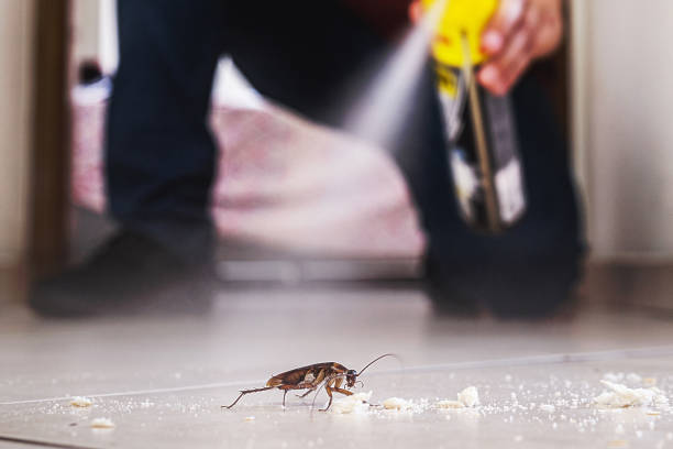 Pest Control for Restaurants in Meeker, OK