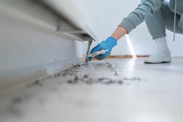 Best Residential Pest Control  in Meeker, OK