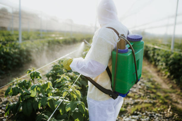 Best Wasp Removal Services  in Meeker, OK
